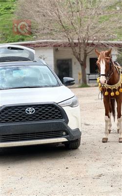 تويوتا كورولا كروس